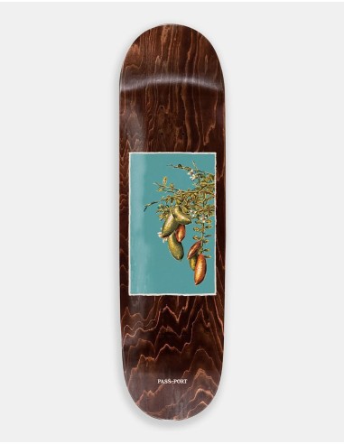 Pass Port Lime Native Fruit Series Skateboard Deck - 8.25" du meilleur 