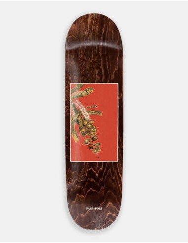 Pass Port Maca Native Fruit Series Skateboard Deck - 8.125" chez Cornerstreet bien 