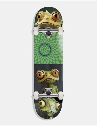 Push Gecko FP Complete Skateboard - 8" En savoir plus