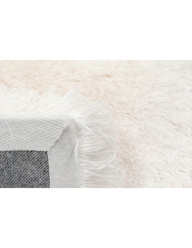 The Exquisite Solid Rug Collection l'évolution des habitudes 