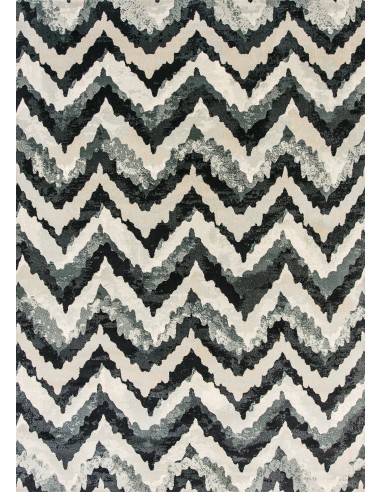 The Transitions Contemporary Rug Collection Découvrez la collection